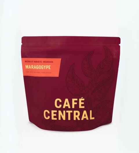 Café Central – Maragogype